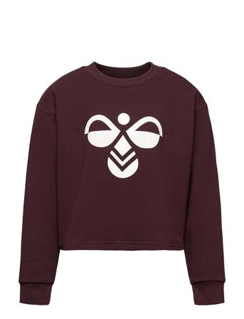 Hmlcinco Sweatshirt Brown Hummel