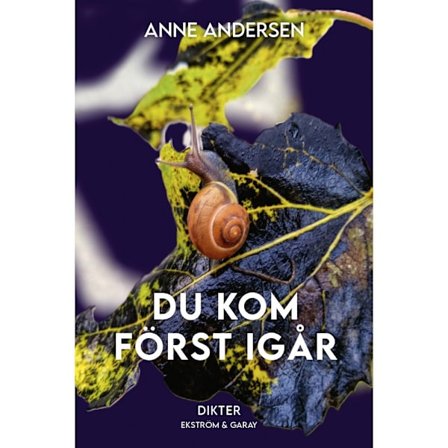Du kom först igår (bok, danskt band)