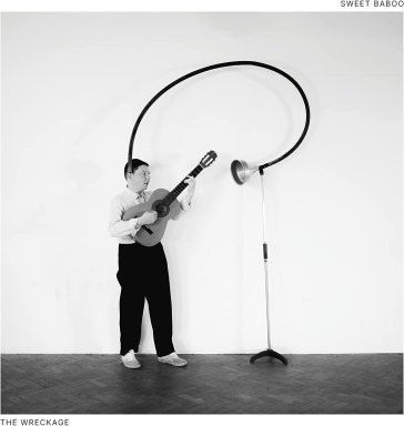 The wreckage SWEET BABOO