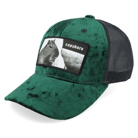 Kinder Calza Pennello - Grün trucker Cap - Kinder Capybara Sofa Velvet Green/Black Trucker @ Hatstore