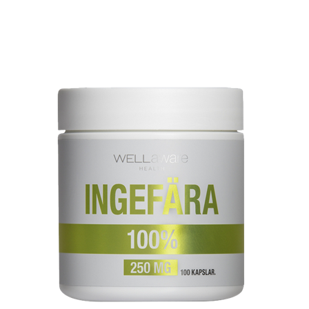 WellAware Ingefära 250 mg 100 kapslar