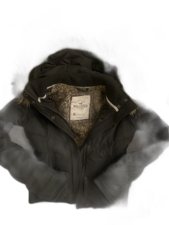 Hollister jacka