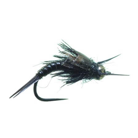 Umpqua Little Black Sloan - #16