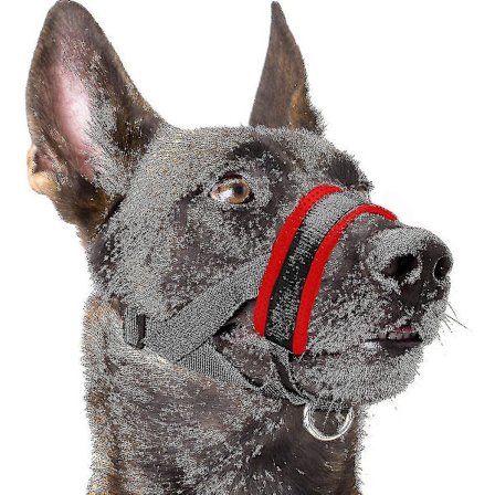 Koiran kuonopehmuste, nylon, pehmeä pehmuste, säädettävä lenkki, musta