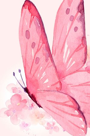 Pelcasa - Plakat Delicate Butterfly - Rosa - Postere - 70X100 - Fra Homeroom