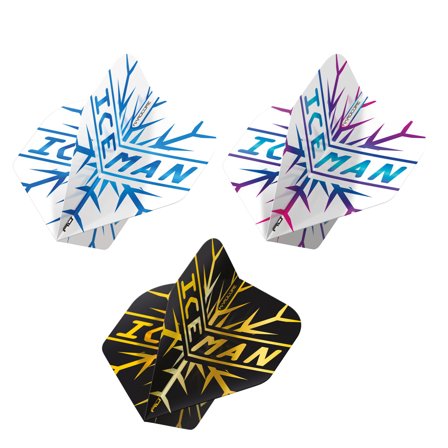 Gerwyn Price Flight Multi-Pack