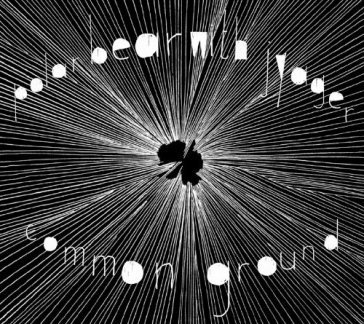 Common ground Polar Bear