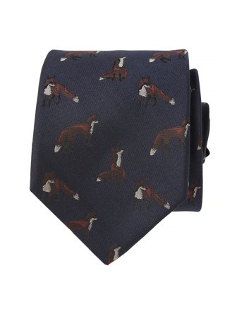Dixter Silk Tie