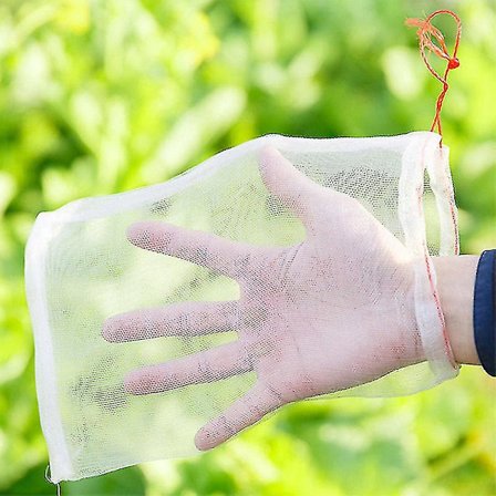 Have Net til Frugtplanter - Beskyttelse mod Insekter, Skadedyr og Fugle (50 stk)