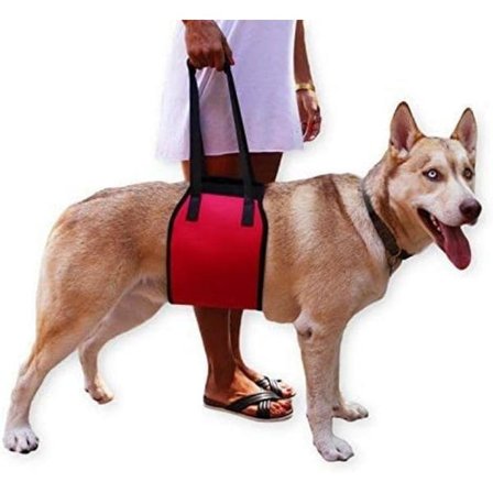 IC Hundestøtte Sele Hjelpemiddel for Rehabilitering