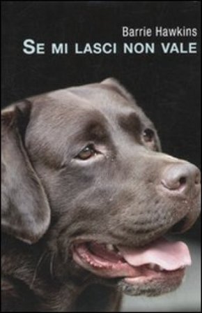 Se mi lasci non vale Barry Hawkins
