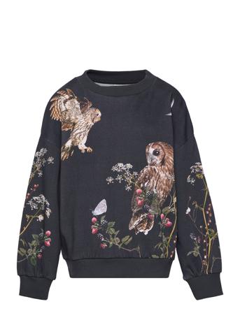 Maxi Sweatshirt Trøje Multi/mønstret Molo