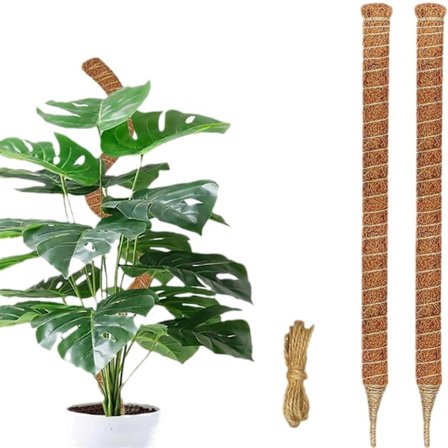 2kpl Monstera sammaltanko sisäkasveille, taivutettava kasvien pidike