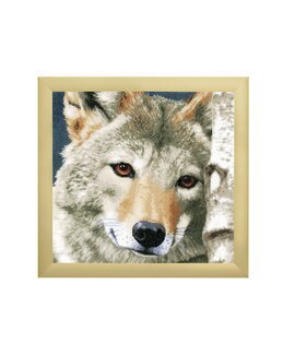 Bild In den Augen der Ruhe - Lanarte