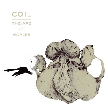The ape of naples - limited edition Coil
