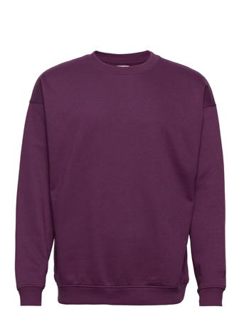 Rrfrankie Sweat Burgundy Redefined Rebel