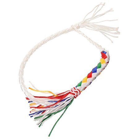 Hevospiiska paksu hevospiiska suorituskykyinen hevospiiska kannettava hevospiiska ratsastustarvikkeet (60.00X2.00X2.00CM, kuten kuvassa näkyy)