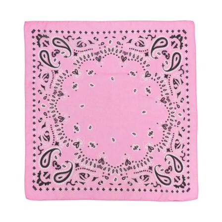 Destin, Scarves Roze, Heren, Maat:ONE Size