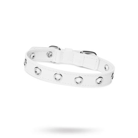 ROCK White - Läder Hundhalsband - Scarfes, Charms & Halsbandssmycken, Draglinor, Läder- & Textilhalsband på Doggie.se