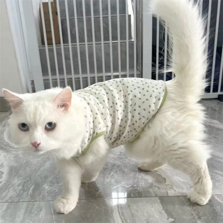Kattkläder mot håravfall, små kattkläder, sommarkläder, roliga mönster, mjölkkatter, kattungar, husdjur, tunna husdjursvästar
