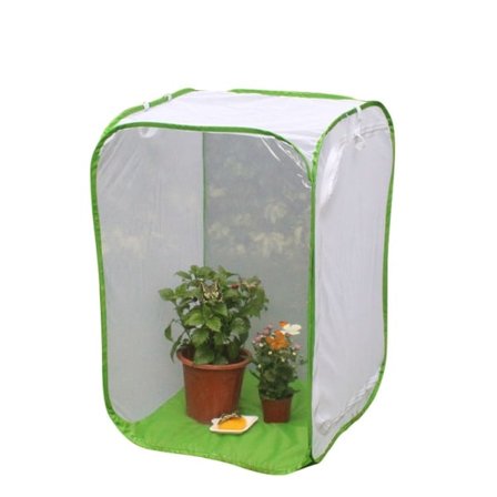 IC Butterfly Cage, Insektnett, Butterfly Cage, 60*60*90