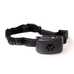 Active Canis Antiskällhalsband, Max Performance USB, 20-56cm