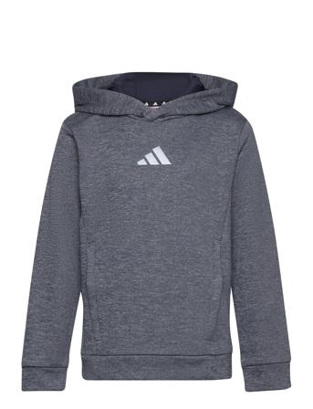 J Hea Hoodie Grey Adidas Performance