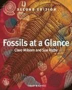 Fossils at a Glance