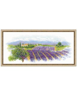 Bild Lavendel der Provence - Riolis