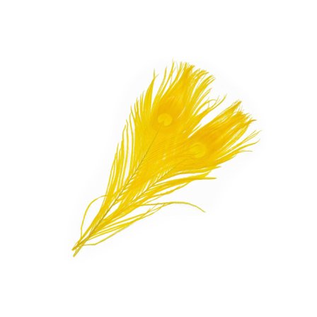 Frödin SNS Peacock Eye Feathers - B&D Sunburst Yellow