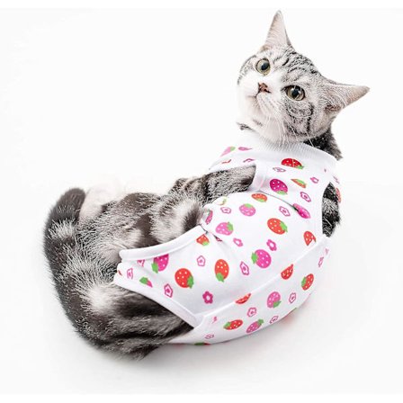 Kattåterställningsdräkt för buksår eller hudsjukdomar, efter operation Bär sår som inte slickar, andningsbart e-halsband alternativ för katter och 