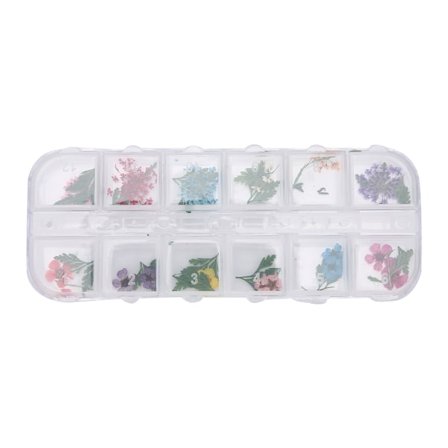 12 Färger / Ask Torkade Blommor Nageldekoration DIY Konsttillbehör E Stil