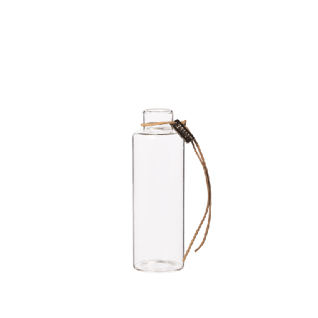 ERNST Glasvas Vaser Transparant d5 h15 cm