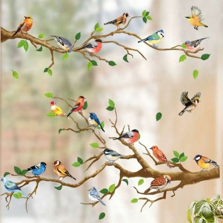 Vindusdekaler elektrostatiske BIRD MEETING I Vindusdekorasjon Tr