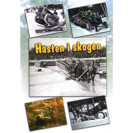 Hästen i skogen (DVD)