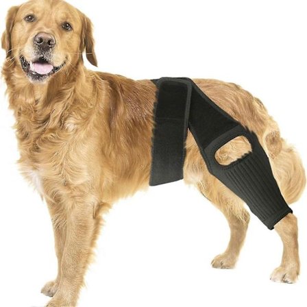 Knæstøtte til hunde med overrevet korsbånd i bagbenet, støttebandager til korsbånd i bagbenet til hunde, stærk støtte til at reducere ledsmerter og 