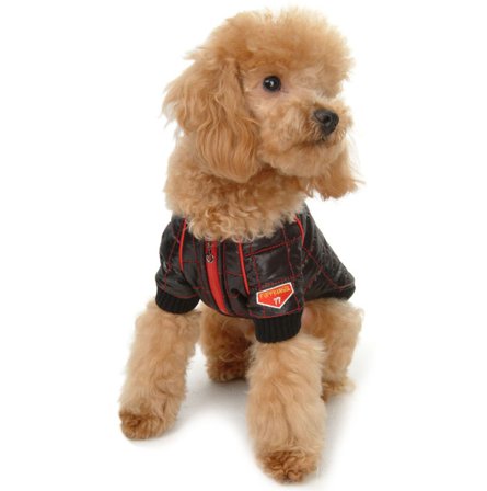 Puppy Angel - PA F1 Jacket - Svart - XL - Varma hundjackor & täcken från Doggie.se