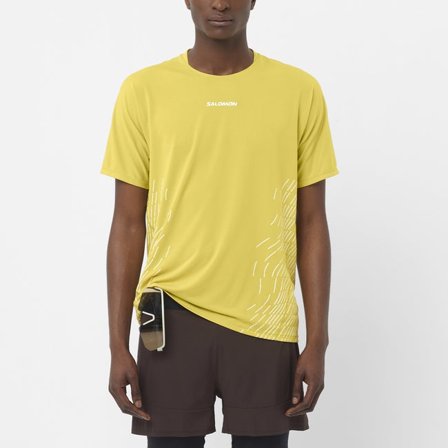 Salomon - Shirts Kleding Sense Aero Ss Tee Gfx M - Cress Green / Whisper White