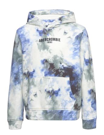 Kids Boys Sweatshirts Hoodie Trøje Multi/mønstret Abercrombie & Fitch