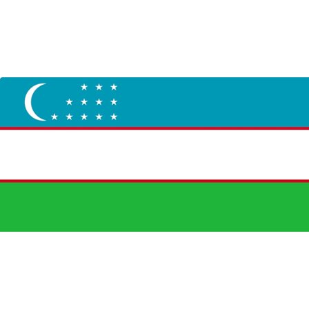 [LCS] Usbekistan flag Usbekistan 100