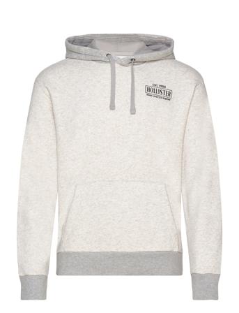 Hco. Guys Sweatshirts Grey Hollister