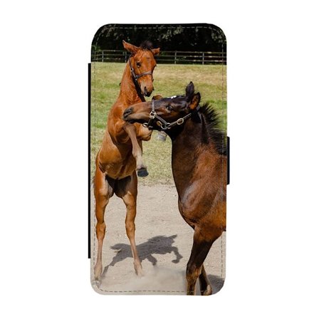 Sto och Föl Google Pixel 9 Pro XL Flip Mobilfodral