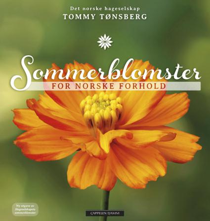 Sommerblomster for norske forhold - Bok av Tommy Tønsberg - Hardback