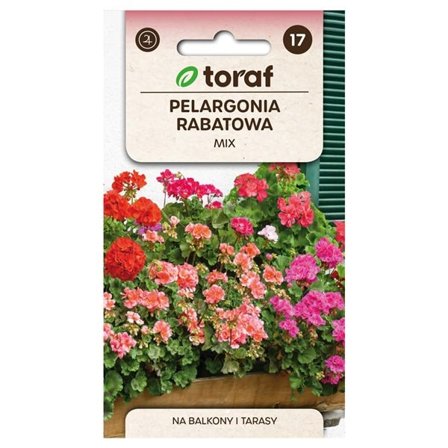 Zonal Pelargonium Mix Seed - värikäs ja pitkään kukkiva ruukkuihin ja sänkyihin