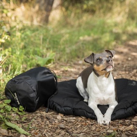 Back on Track Hundbädd Oval 50x60 cm Svart