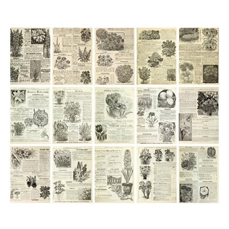 Scrapbooking-paperi Yrtit - 30 arkkia kasvitieteellisiä motiiveja