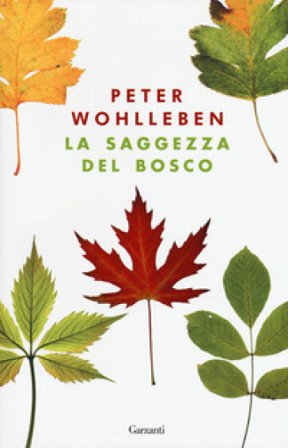 La saggezza del bosco Peter Wohlleben