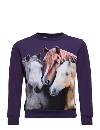 Regine Sweatshirt Trøje Multi/mønstret Molo