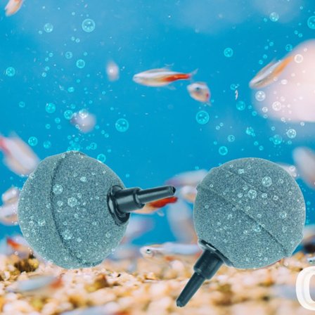 Effektfull Mini Syre Akvarium Sten