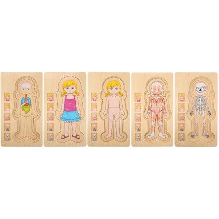 Menneskekroppen Trepuslespill Anatomi Puslespill Hjernepuslespill Leke Menneske Bo